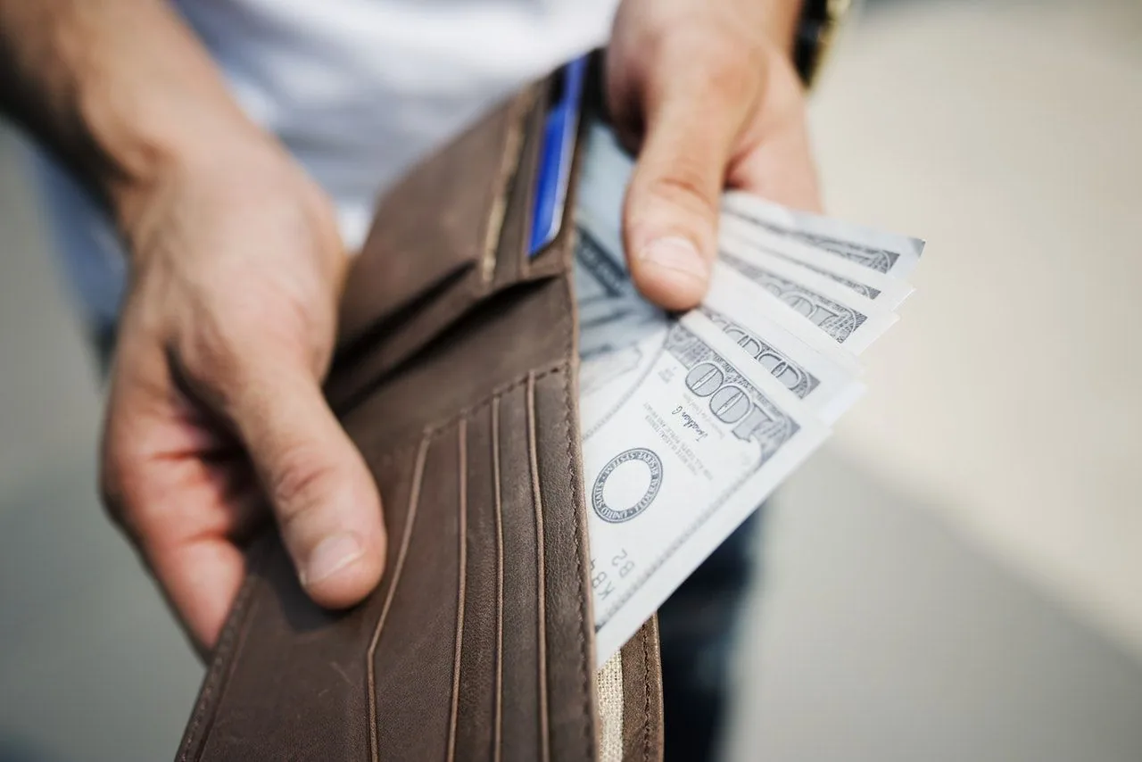 carteira com dolares